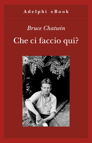 La camera azzurra di Georges Simenon, Adelphi, eBook - Anobii